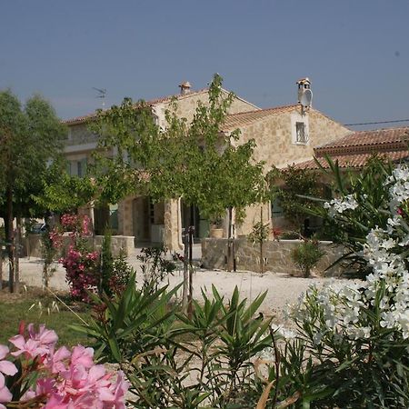 Saint-Rémy-de-Provence Locations Des Alpilles 아파트 외부 사진