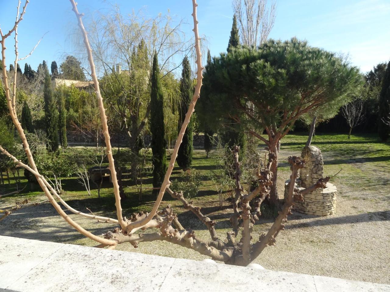 Saint-Rémy-de-Provence Locations Des Alpilles 아파트 외부 사진